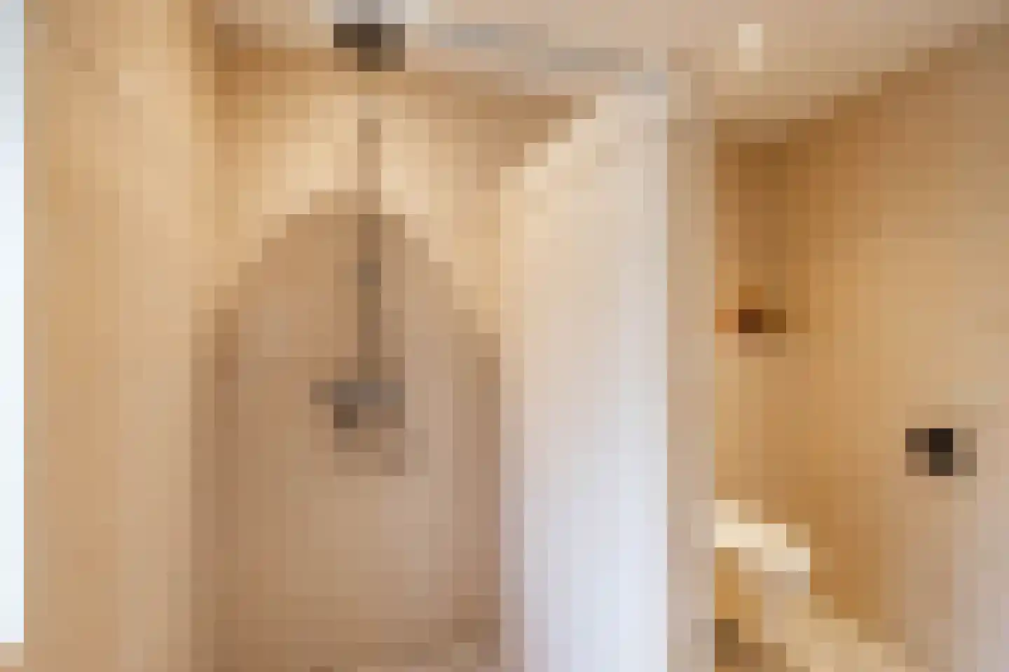 Emmalaan 22 Zuidlaren thumbnail 61