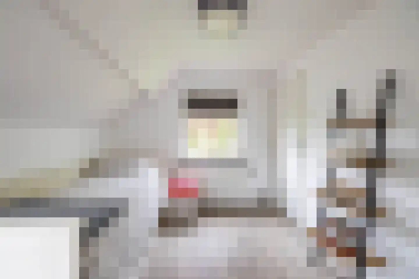 Emmalaan 22 Zuidlaren thumbnail 66