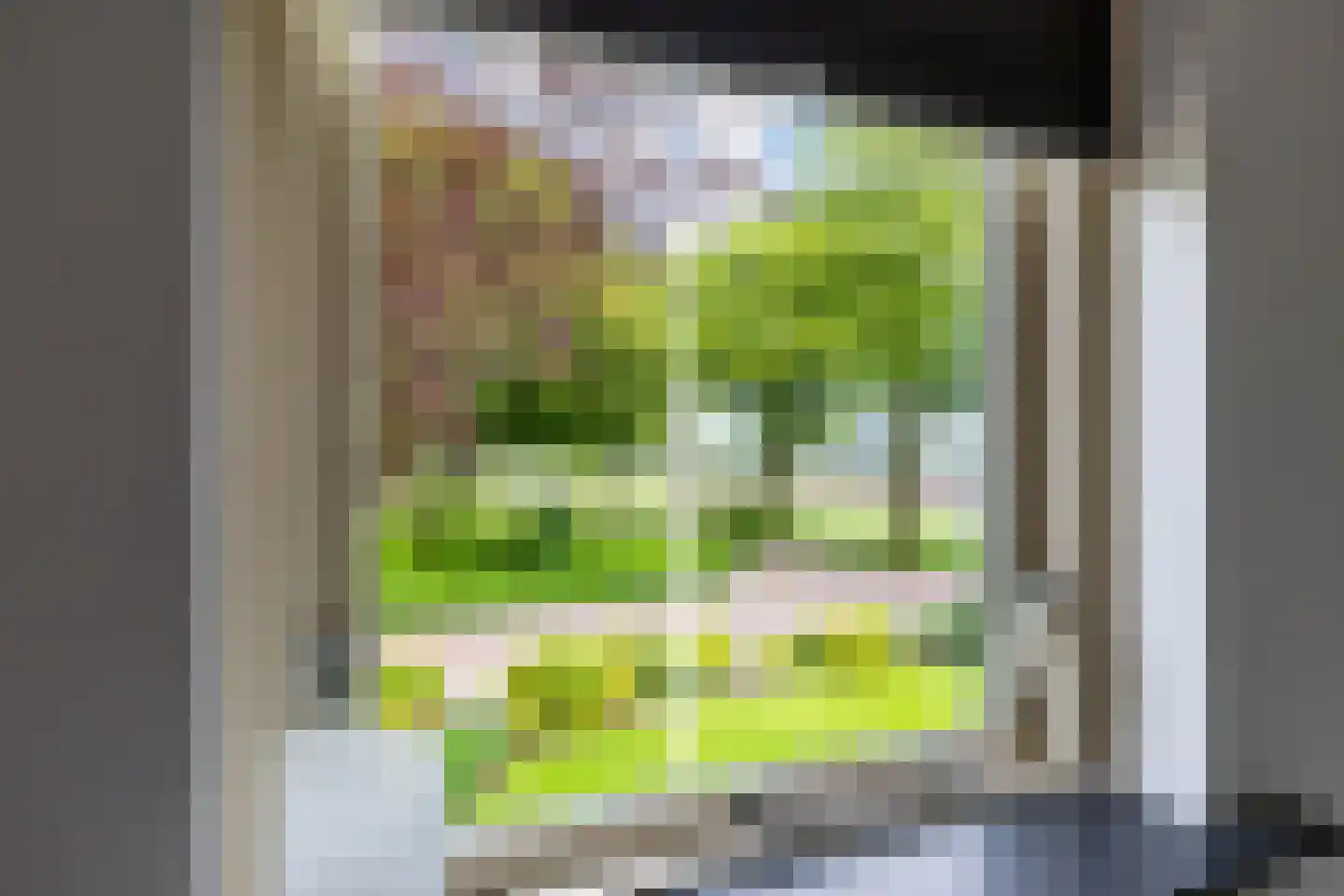 Emmalaan 22 Zuidlaren thumbnail 67
