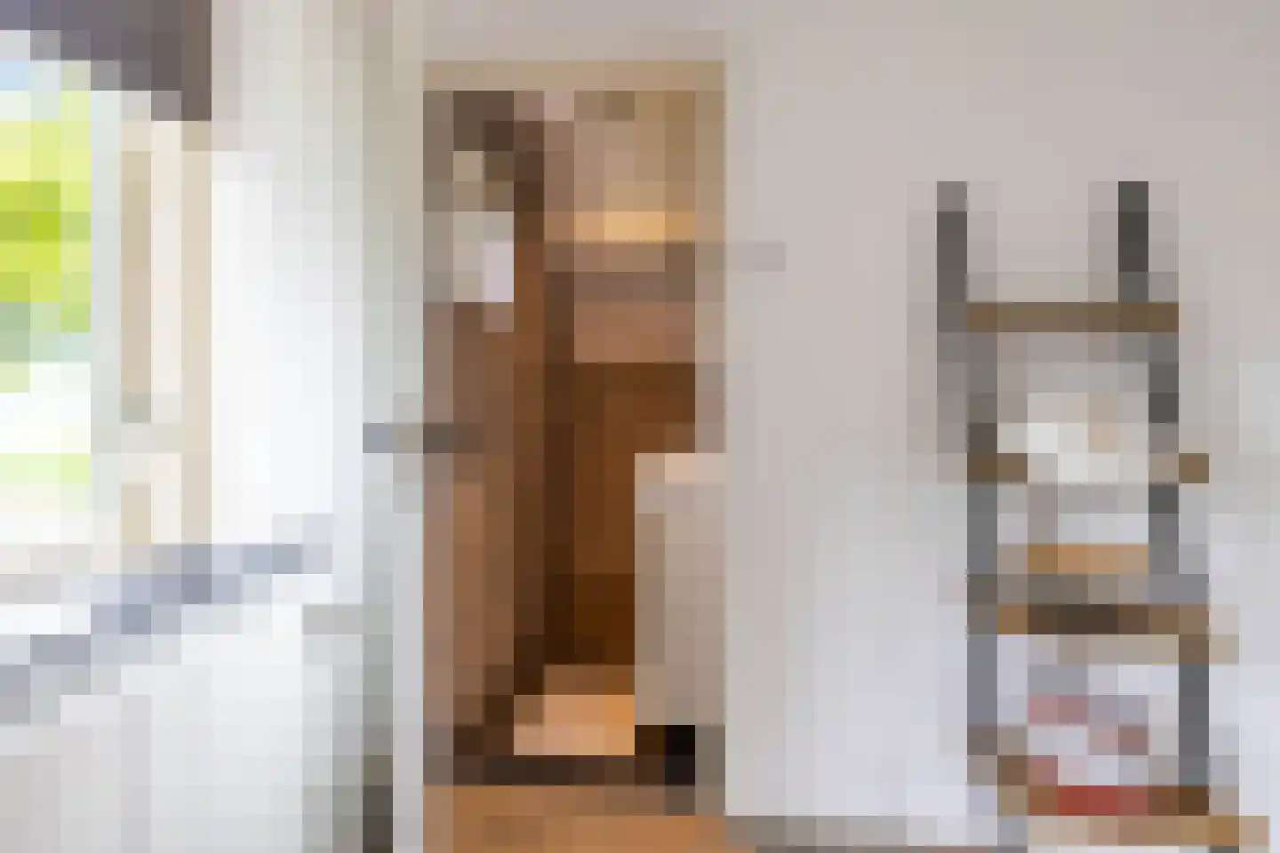Emmalaan 22 Zuidlaren thumbnail 68