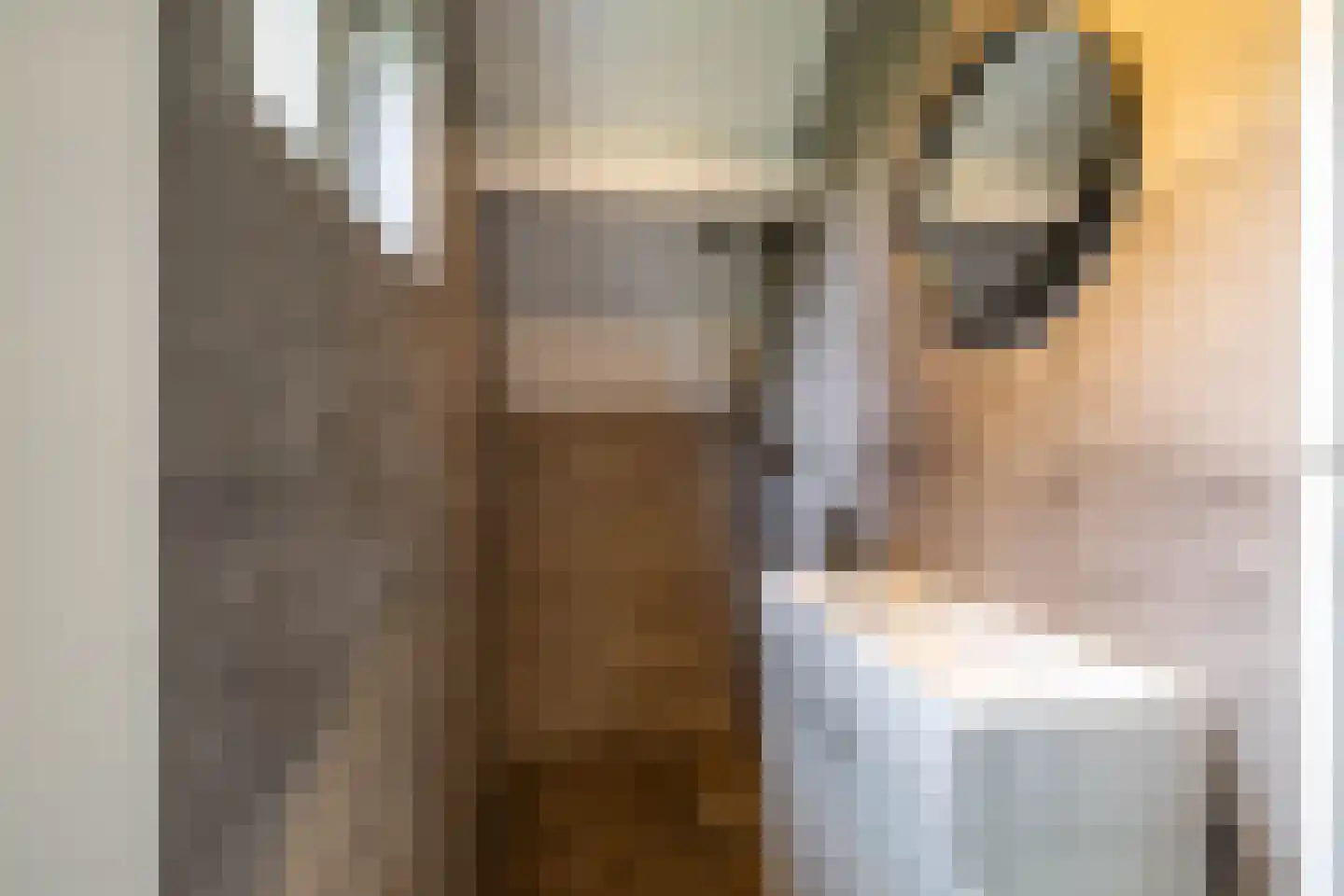 Emmalaan 22 Zuidlaren thumbnail 69
