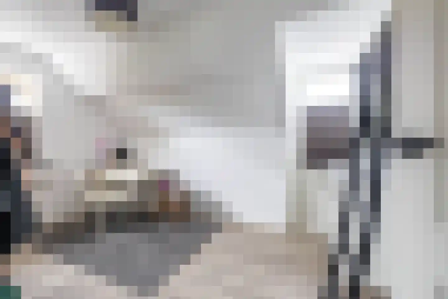 Emmalaan 22 Zuidlaren thumbnail 72