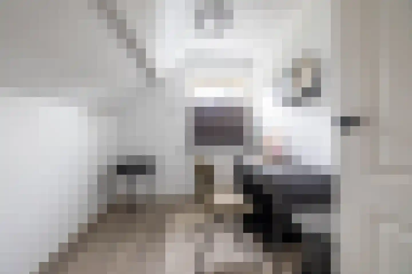 Emmalaan 22 Zuidlaren thumbnail 76
