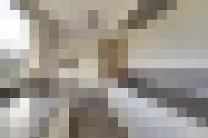 Emmalaan 23 Geldermalsen thumbnail 12
