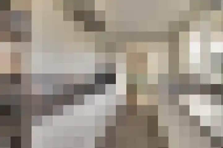 Emmalaan 23 Geldermalsen thumbnail 13