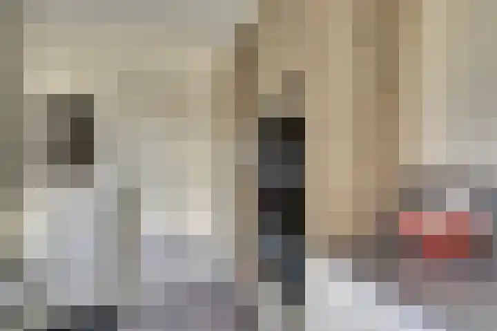 Emmalaan 23 Geldermalsen thumbnail 14