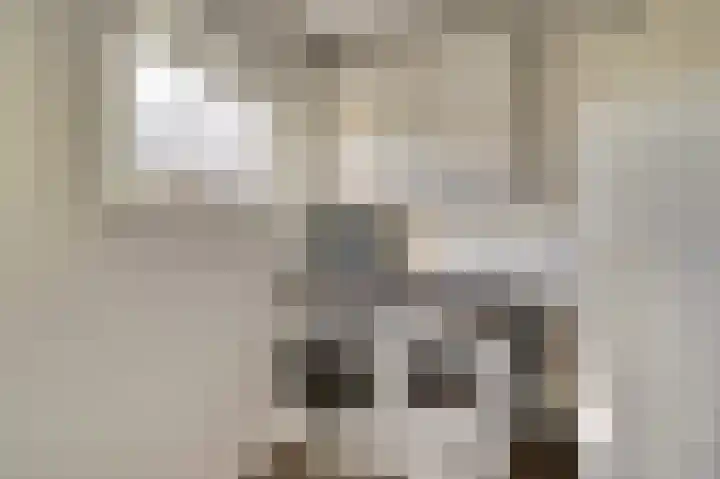 Emmalaan 23 Geldermalsen thumbnail 16