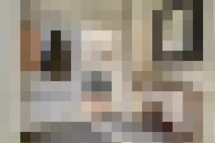 Emmalaan 23 Geldermalsen thumbnail 19