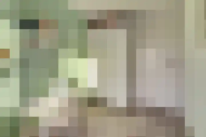 Emmalaan 23 Geldermalsen thumbnail 25