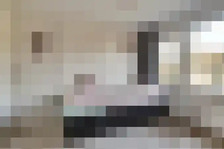 Emmalaan 23 Geldermalsen thumbnail 27
