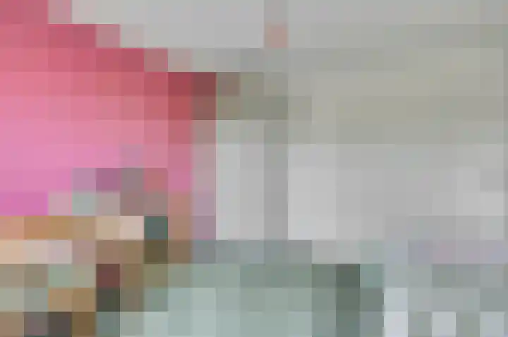 Emmalaan 23 Geldermalsen thumbnail 28