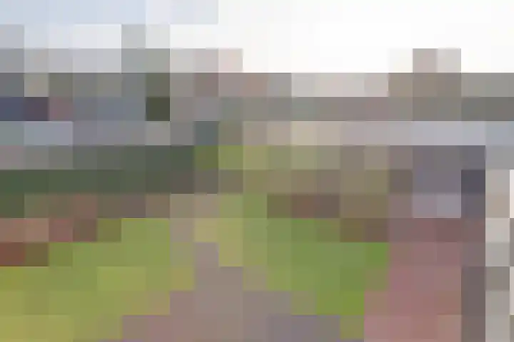 Emmalaan 23 Geldermalsen thumbnail 33