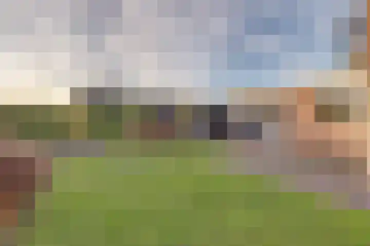 Emmalaan 23 Geldermalsen thumbnail 39