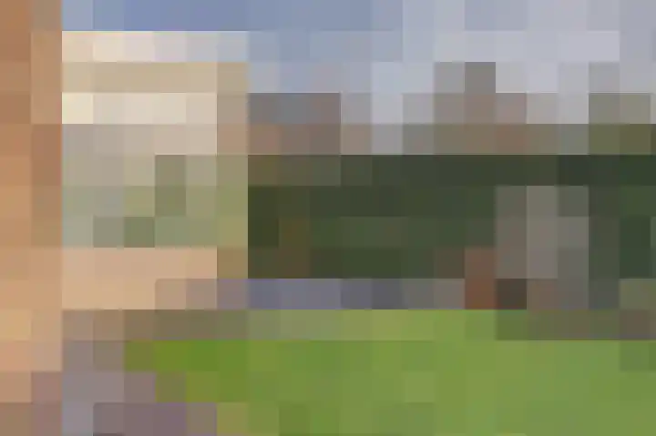 Emmalaan 23 Geldermalsen thumbnail 42