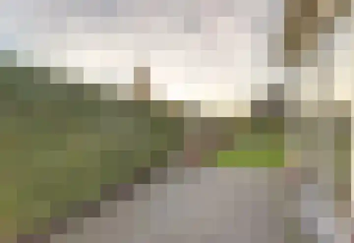 Emmalaan 23 Geldermalsen thumbnail 43