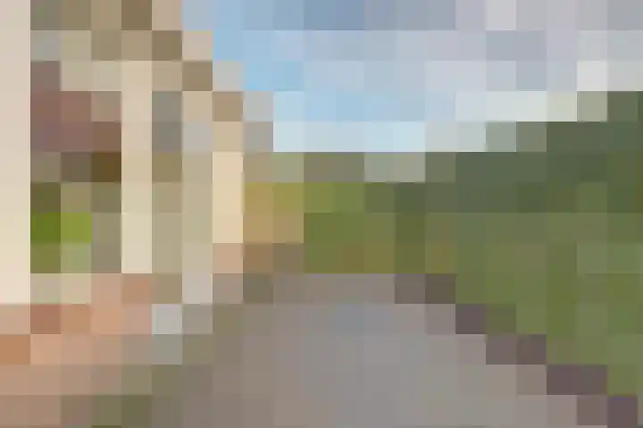 Emmalaan 23 Geldermalsen thumbnail 44