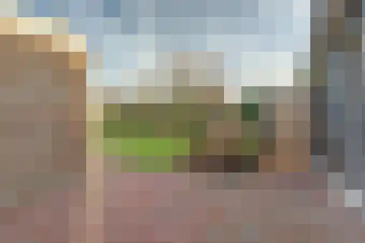 Emmalaan 23 Geldermalsen thumbnail 45
