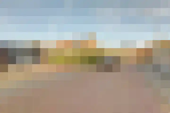 Emmalaan 23 Geldermalsen thumbnail 47