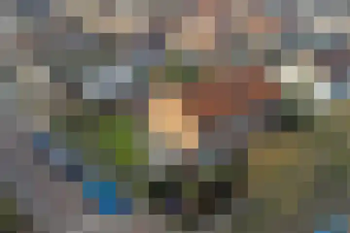 Emmalaan 23 Geldermalsen thumbnail 49
