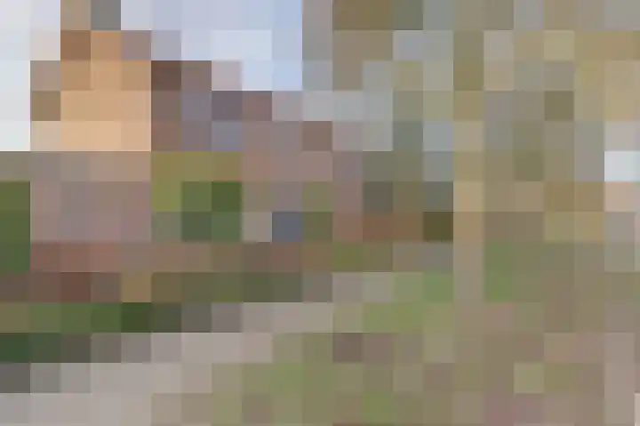 Emmalaan 23 Geldermalsen thumbnail 50