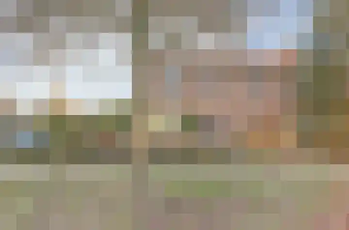 Emmalaan 23 Geldermalsen thumbnail 51