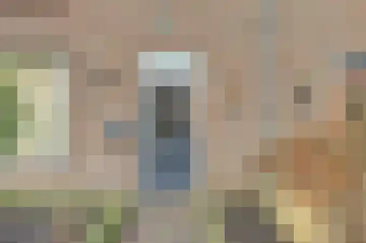 Emmalaan 23 Geldermalsen thumbnail 52