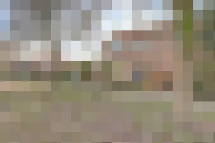 Emmalaan 23 Geldermalsen thumbnail 54