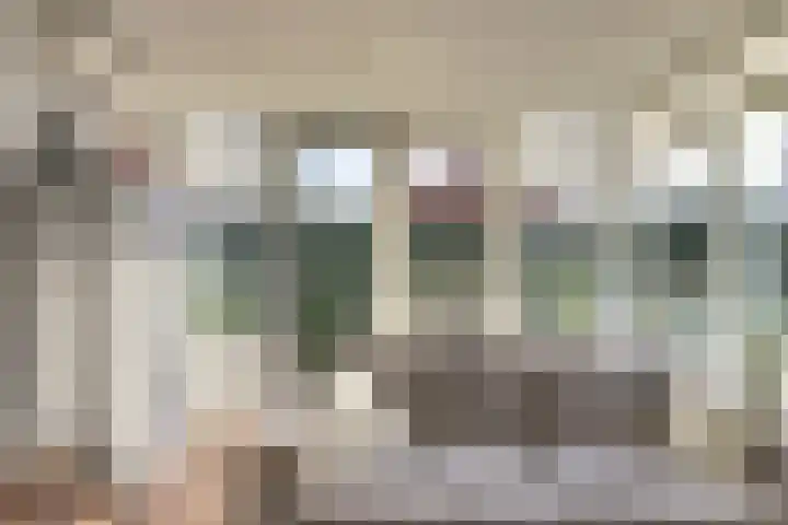 Emmalaan 23 Geldermalsen thumbnail 8
