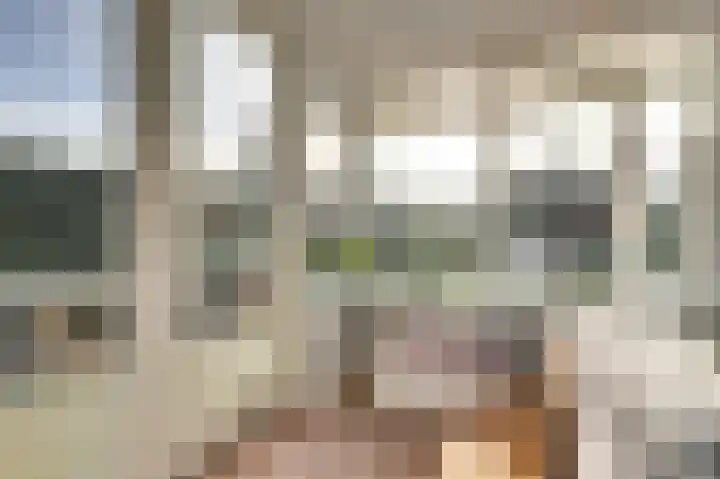 Emmalaan 23 Geldermalsen thumbnail 9