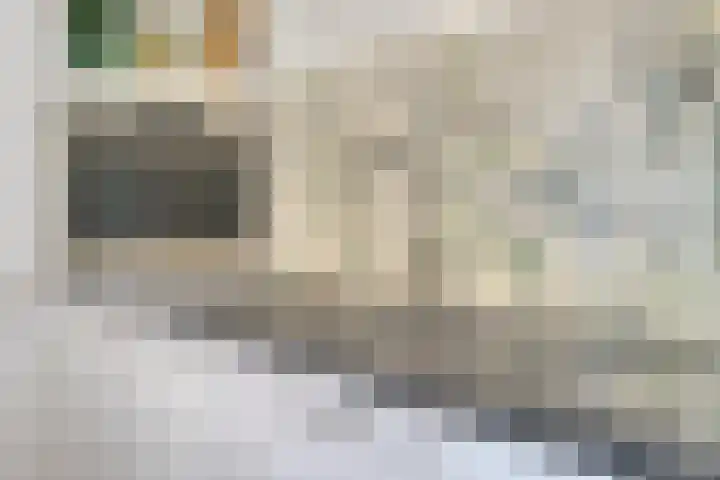 Emmalaan 23 Veenendaal thumbnail 13