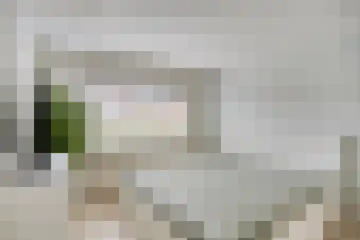 Emmalaan 23 Veenendaal thumbnail 15