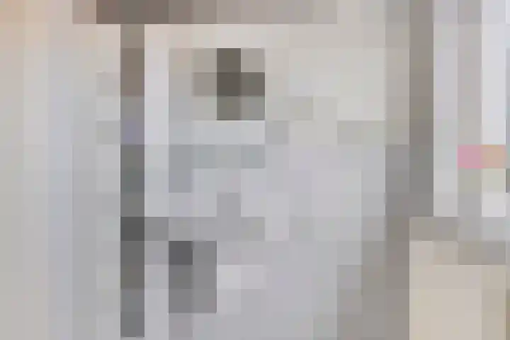 Emmalaan 23 Veenendaal thumbnail 21