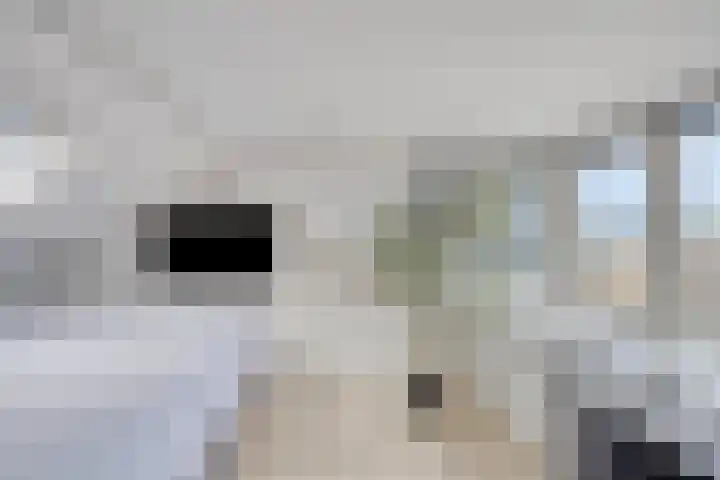 Emmalaan 23 Veenendaal thumbnail 22