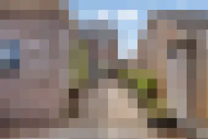 Emmalaan 23 Veenendaal thumbnail 24