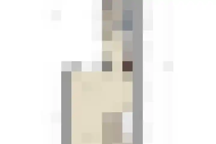 Emmalaan 23 Veenendaal thumbnail 28
