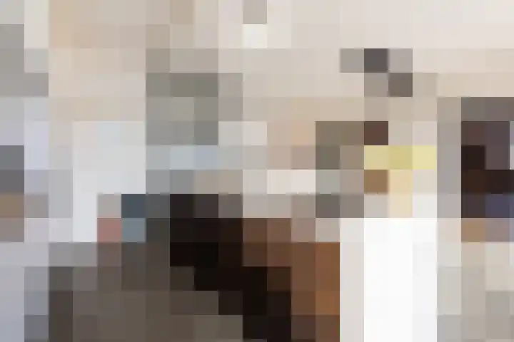 Emmalaan 24 Amersfoort thumbnail 17