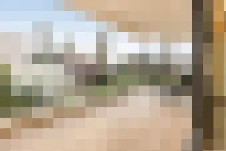 Emmalaan 24 Amersfoort thumbnail 18