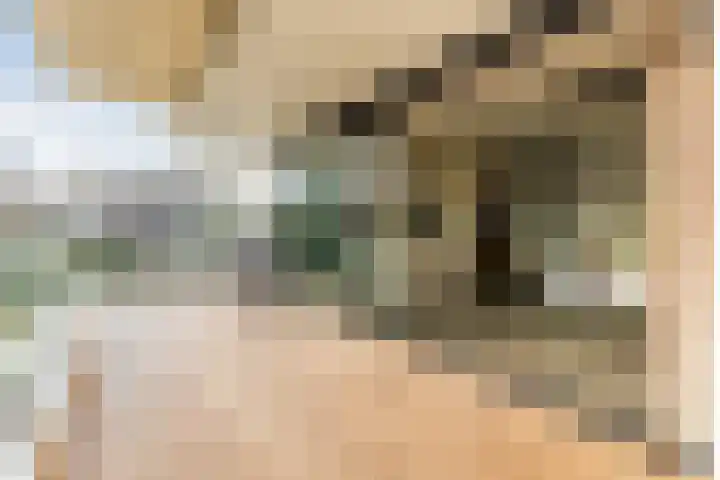 Emmalaan 24 Amersfoort thumbnail 19