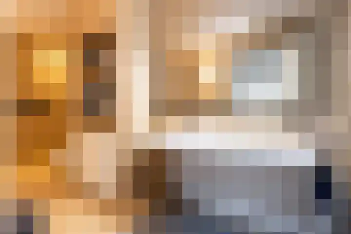 Emmalaan 24 Amersfoort thumbnail 23