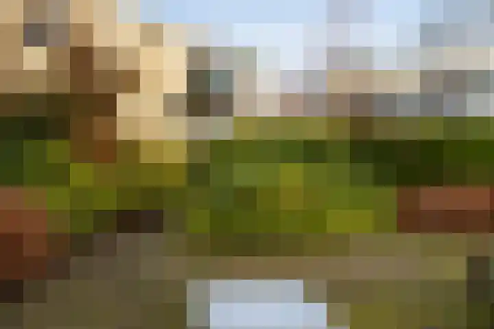 Emmalaan 24 Amersfoort thumbnail 36