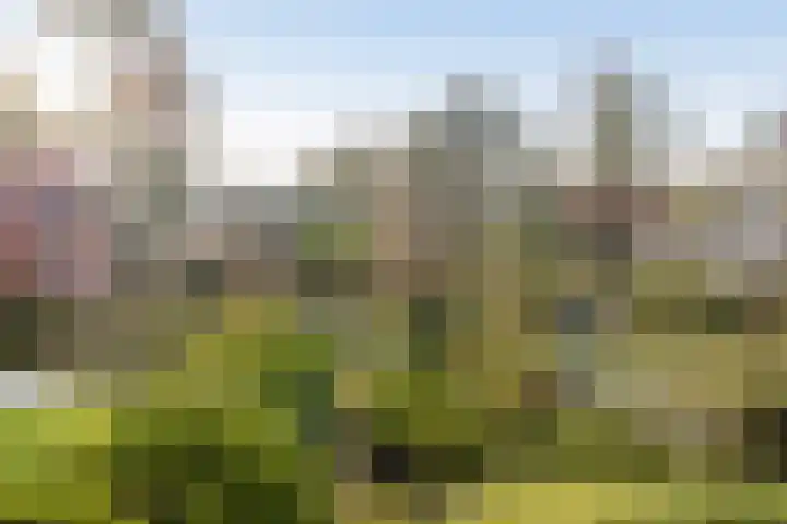 Emmalaan 24 Amersfoort thumbnail 39