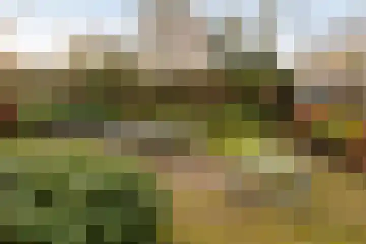 Emmalaan 24 Amersfoort thumbnail 40