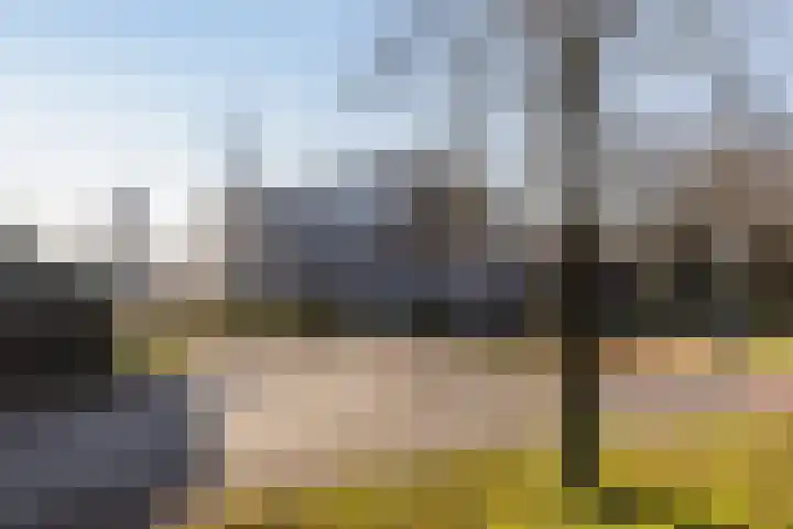Emmalaan 24 Amersfoort thumbnail 43