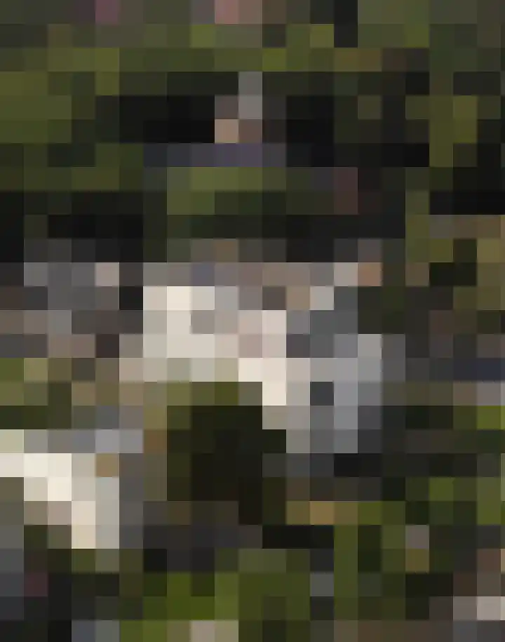 Emmalaan 24 Amersfoort thumbnail 44