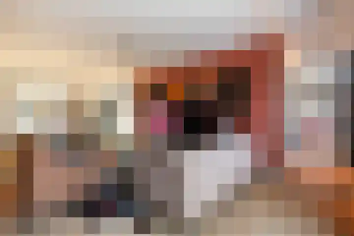 Emmalaan 24 Amersfoort thumbnail 9