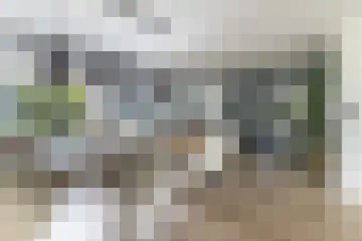 Emmalaan 25 Bergen (NH) thumbnail 13