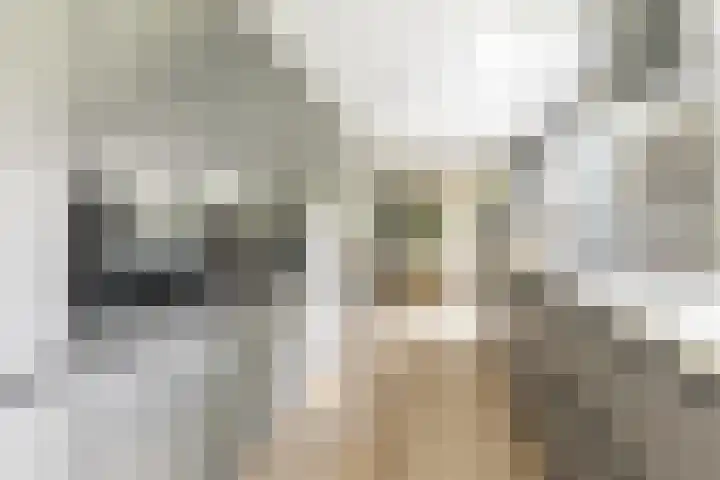 Emmalaan 25 Bergen (NH) thumbnail 16