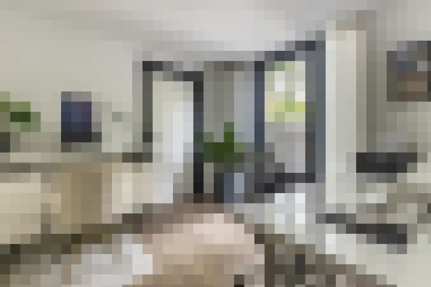 Emmalaan 25 Bergen (NH) thumbnail 19