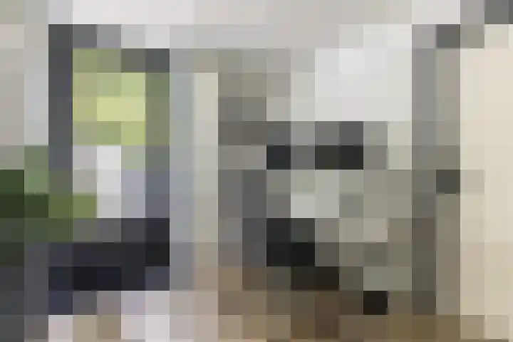 Emmalaan 25 Bergen (NH) thumbnail 20