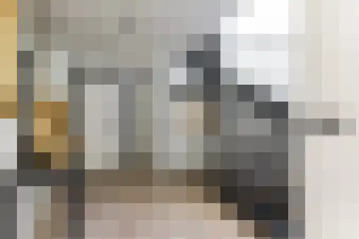 Emmalaan 25 Bergen (NH) thumbnail 22